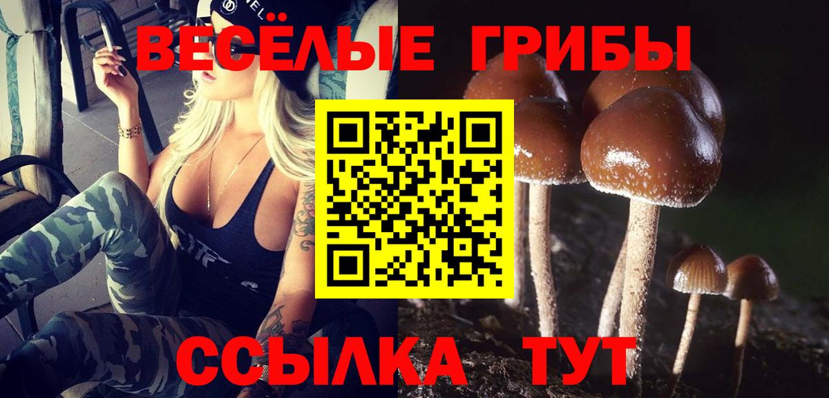 Балашов  Галлюциногенные грибы прущие грибы  Псилоцибиновые грибы Psilocybine cubensis  Вход с VPN 